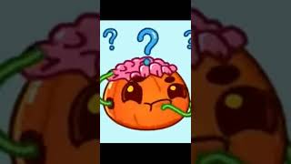 Kòneçilligi Taşla