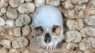 Bone Chapel  ~ Churches in Faro, Portugal