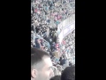 Lameci Lameci