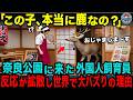 【海外の反応】「日本は鹿まで知能が良すぎる！」奈良公園に観光に来た外国人獣医がイカした鹿の姿に見惚れてしまった理由とは？