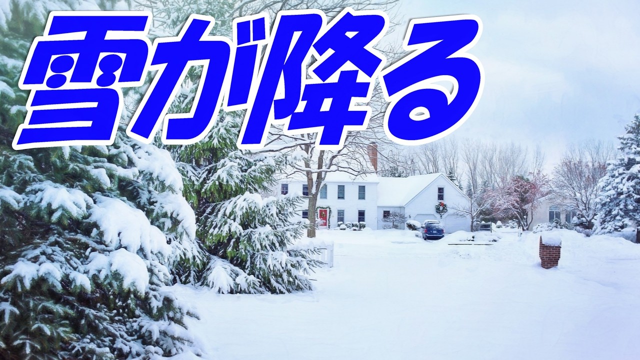 雪の降る朝の赤 雪が降る：アダモ - YouTube