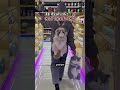 Video Image