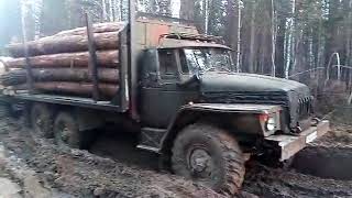 Урал-лесовоз 4320 ЯМЗ 238