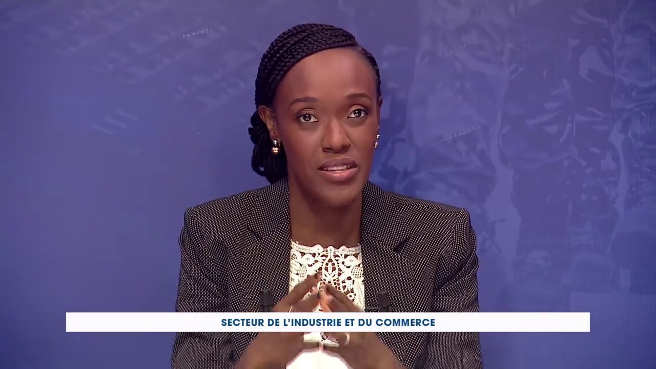 Rupture An 4 : Secteur Industrie et Commerce