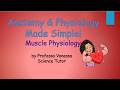 Muscle Physiology Lecture