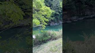 岐阜県 東白川村 Japan higashishirakawamura #japan #旅行 #japantravel #日本の風景 #旅行vlog