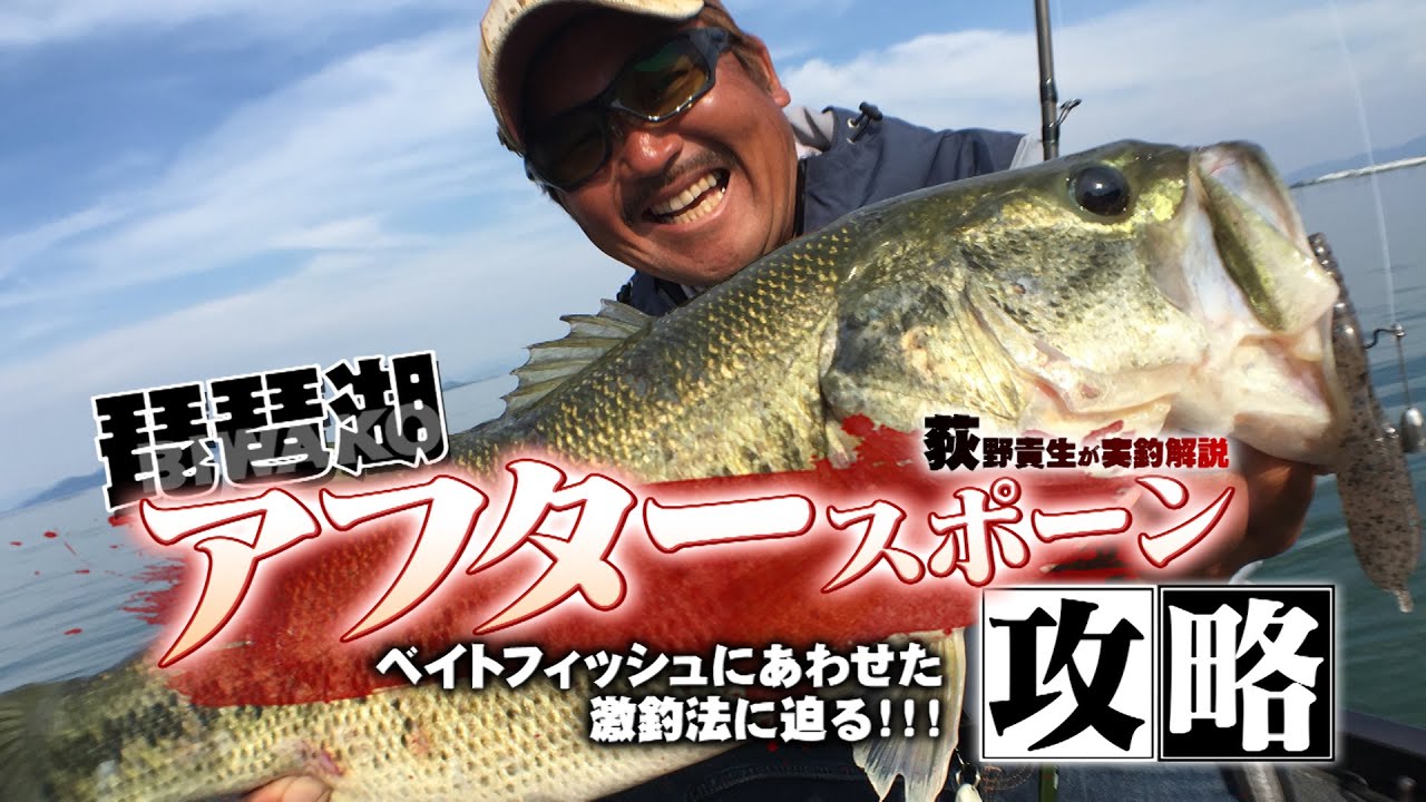 ソナレ(磯馴れ) NORIES' Takao Ogino 