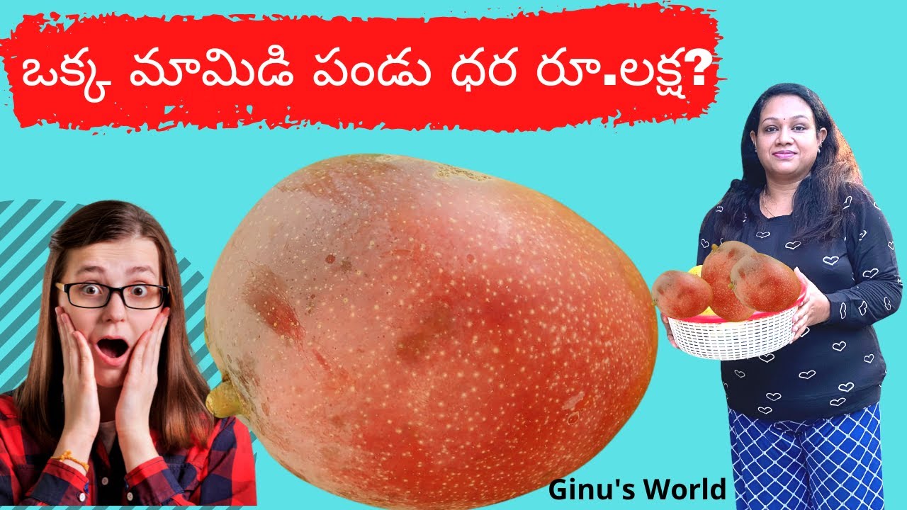 One Mango Costs 1 Lakh ? Why this much Cost ? ఒక్క మామిడి పండు ధర రూ