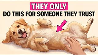 7 Ways Your Dog Says 'I Trust You' (Most People Miss #4)