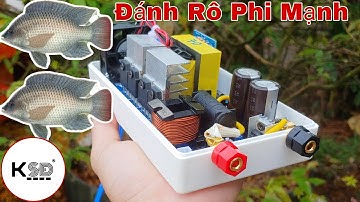 Tại Sao Tần Số Cao Mới Đánh Rô Phi Được, Cách Tăng Tần Số Để Đánh Rô Phi | Ky Su Dien