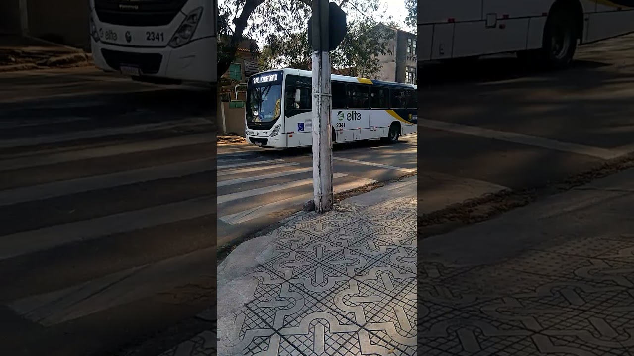 os ônibus da Sul fluminense