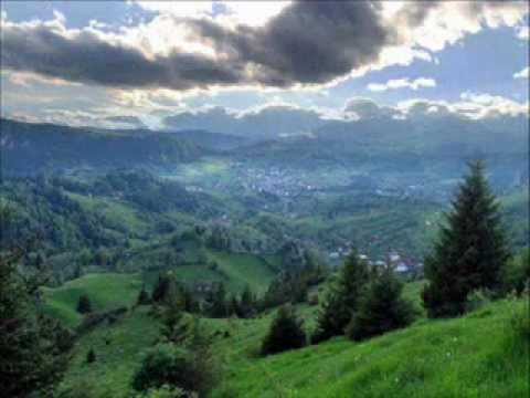 invartita instrumental