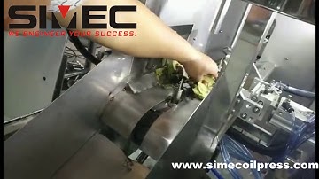 Avocado Peeling & Pitting Machine
