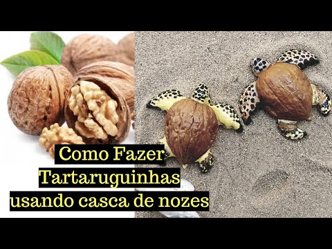 Vídeo: Como Fazer Um Barco Com Cascas De Nozes