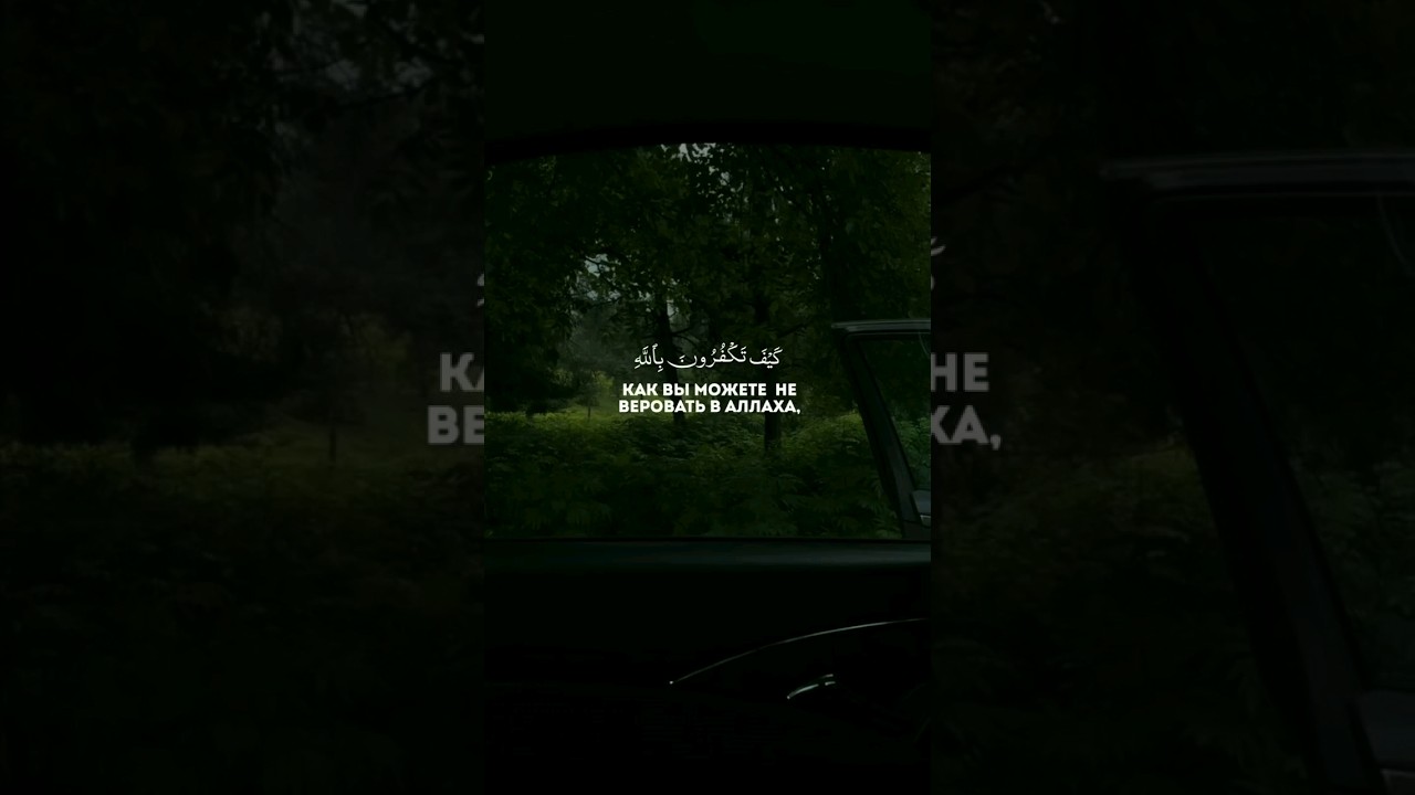 чтец: Махди аш Шишани. Сура:«Аль-Бакара» аят: 28