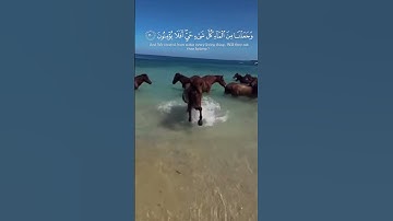 تلاوة خاشعة ومؤثرة لفضيلة الشيخ أ.د سعود الشريم حفظه الله 🕋