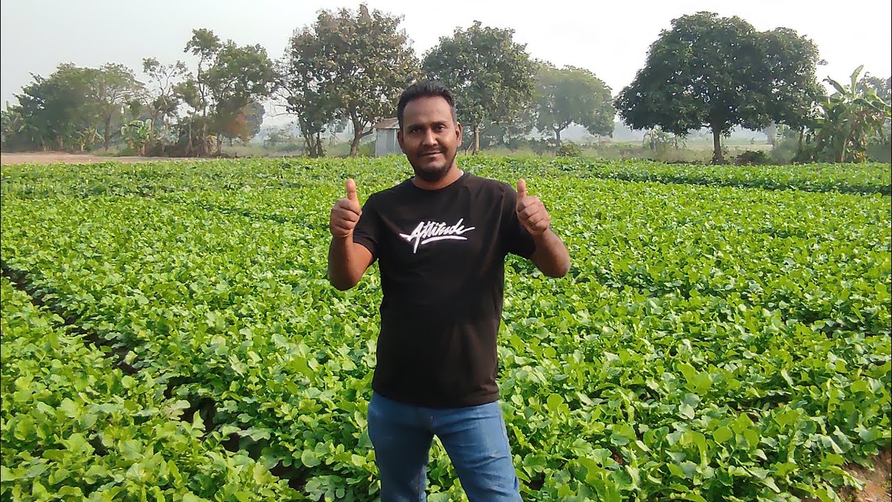 পাঁচঘরা গ্রাম যেন এক অপুর্ব সৌন্দর্যের প্রতীক ||