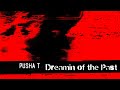 Pusha T - Dreamin Of The Past ft. Ye (Alternate Visualizer)