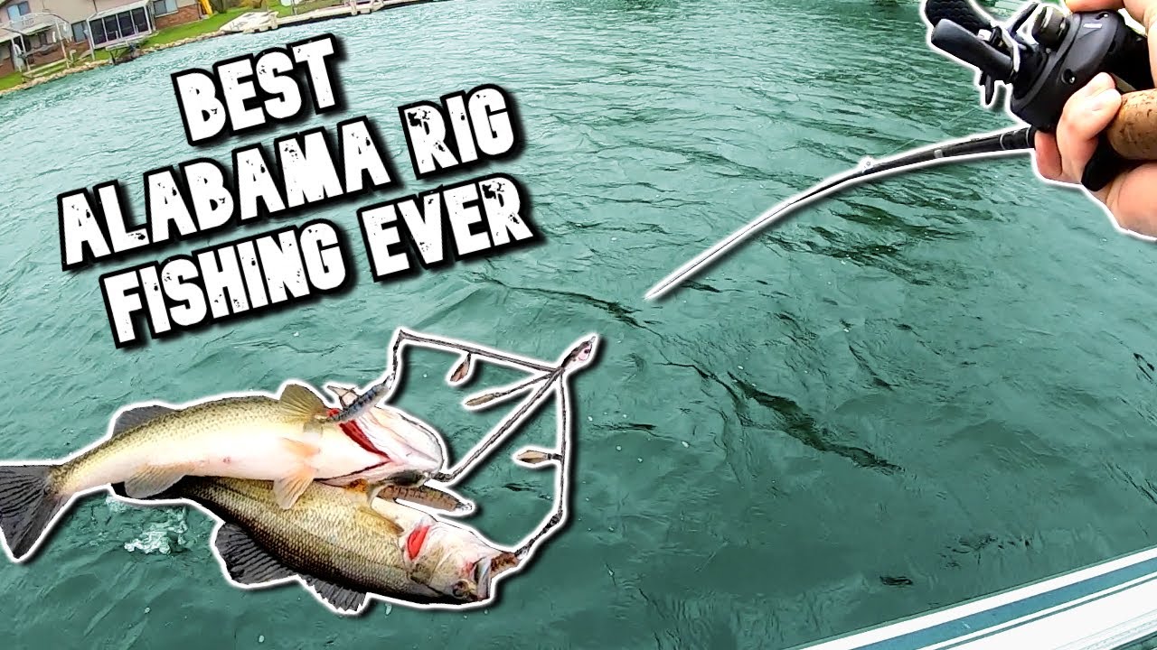 RECORD Day Fishing with an Alabama Rig BIG Bass CRUSH This Lure