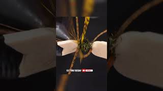 Coplands Hopper Avidmax Fly Tying Tuesday Shorts