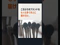 Amazonと販路を拡大しよう【ブランドストア】