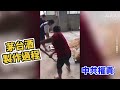焦點：「北京600瓶茅台裡 只有一瓶是真的」🎯很多人一輩子都在喝假的😱🍾🍾 | 台灣大紀元時報