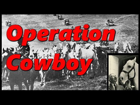 Lipizzaner Horses Saved by United States - German Alliance | Operation Cowboy | History in the Dark