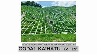 Company Profile of GODAI KAIHATSU Co., Ltd. screenshot 1