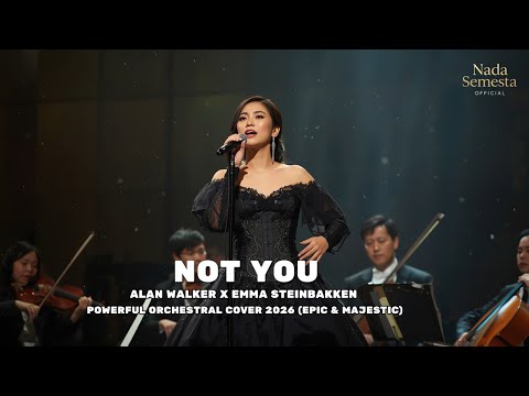 Alan Walker - Not You (Lyrics) ft. Emma Steinbakken