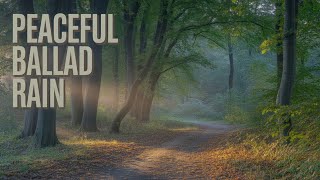 Soft Guitar Notes Floating Over Silent Forest Trails | Study & Focus Music & Sleepin screenshot 5