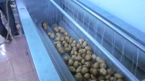 Máy rửa con lăn dạng bàn chải (máy rửa rulo)