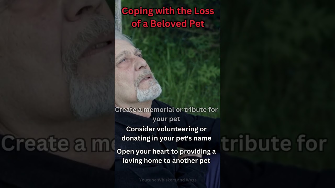 Coping whit the Loss of a Beloved Pet