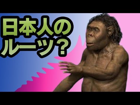 【日本人のルーツとDNA－遺伝子－】最もネアンデルタールに近いのは日本人？ 免疫システムに残る人類の歴史