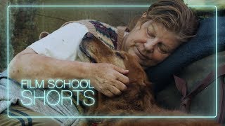 Owen | Film School Shorts