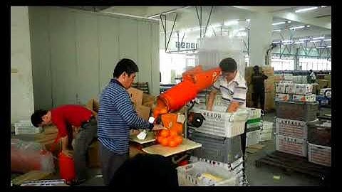 video of electric mesh bag packing machine
