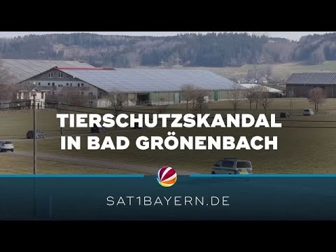 Rindfleisch in Stahnsdorf verkaufen: Finden Sie den besten Rindfleischanbieter
