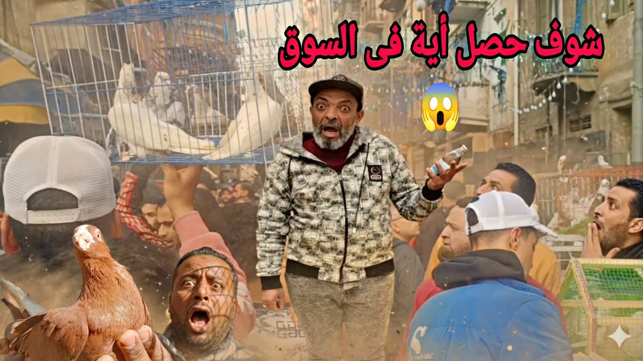 معقول إلى حصل فى  السوق 😱 انقلاب كبير😲فى أسعار الحمام اليوم فى سوق الجمعه بالإسكندرية 