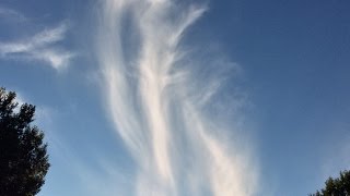 Sky Angels Photos Vol.1