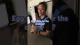 Egg Shells For Chickens? Why?