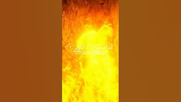 سورة التكاثر SURAH At-Takathur #عبدالولي_الاركاني #abdulwali_alarkani