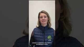 Valorex endorses UK grown Linseed