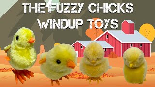 The Fuzzy Cute Little Windup Chicks Running Around