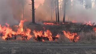 Fire Behavior Fuel Model Calibration Exercise - Grass, Grass/Shrub