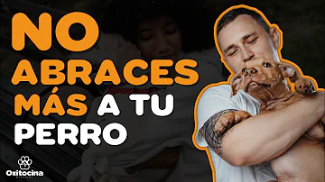 ¿Por qué no debes abrazar a tu perro?