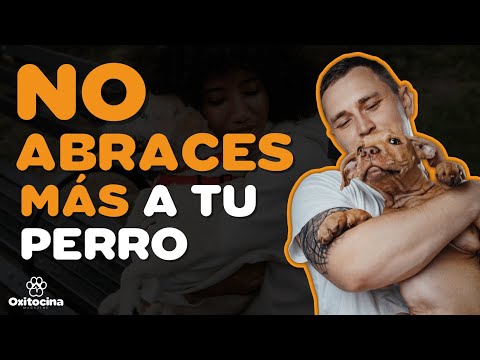 Video: ¿Por qué a mi perro no le gusta que lo abracen?