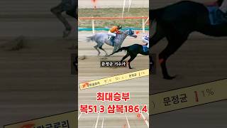(경마)문정균 기수의 선행 찬스!! 1%말 노린 최대승부 안놓칩니다!! 51배🔥186배🔥