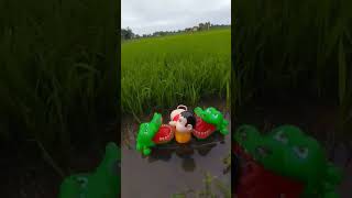 Crocodile Love The Field Fart