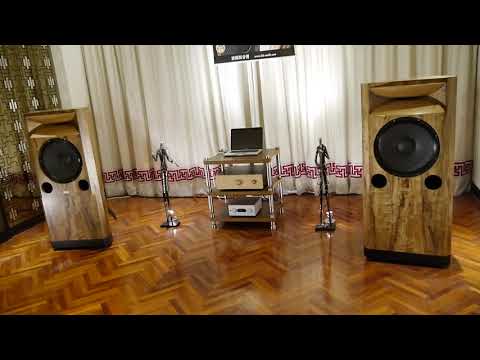 #Shorts 2021Winter Taaipei Audio/Video SHOW LALS Horn Speakers