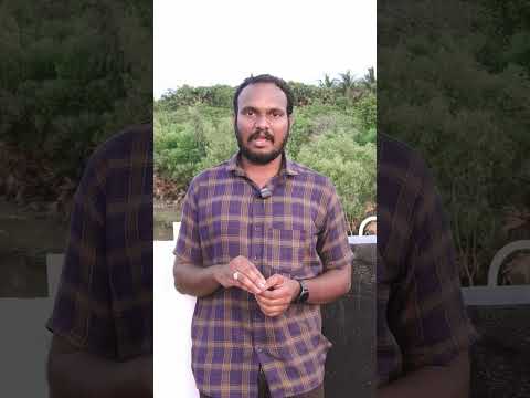 క్యాష్ ఆన్ డెలివరినే చాలా మంచిది || sstechintelugu #techintelugu