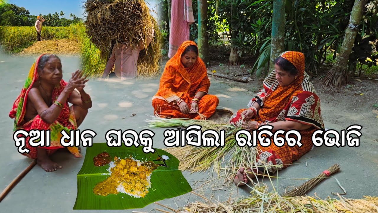 ନୂଆ ଧାନ ଘରକୁ ଆସିଲା l ରାତିରେ ହେଲା ମଠ ଭୋଜି 😋 @Gouranganayakodiavlogs 